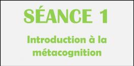 Séance 1 - Introduction à la métacognition
