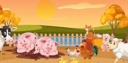 Défi anglais : "The Farm Animal Race" - Cycle 2
