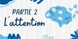 Partie 2  L'attention