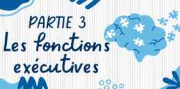 Partie 3 - Les fonctions exécutives
