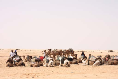 Découvrir le désert et le nomadisme