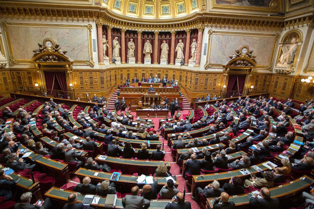 Débat sur les Écoles supérieures du professorat et de l'éducation