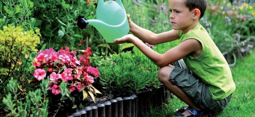 Education à l’environnement et au développement durable : les nouvelles mesures