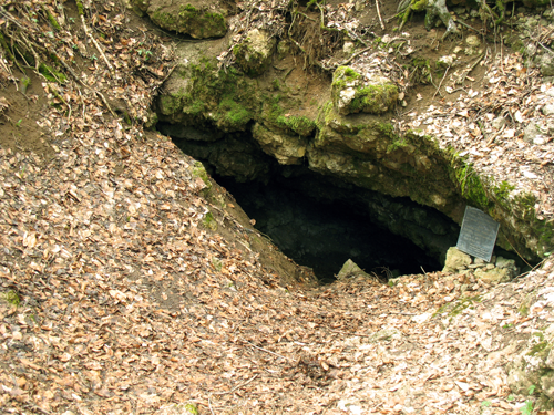 Découvrir la grotte de Lascaux à l'école primaire