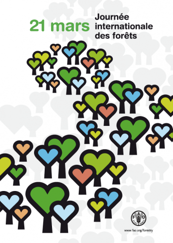 Affiche de la Journée Internationale des Forêts