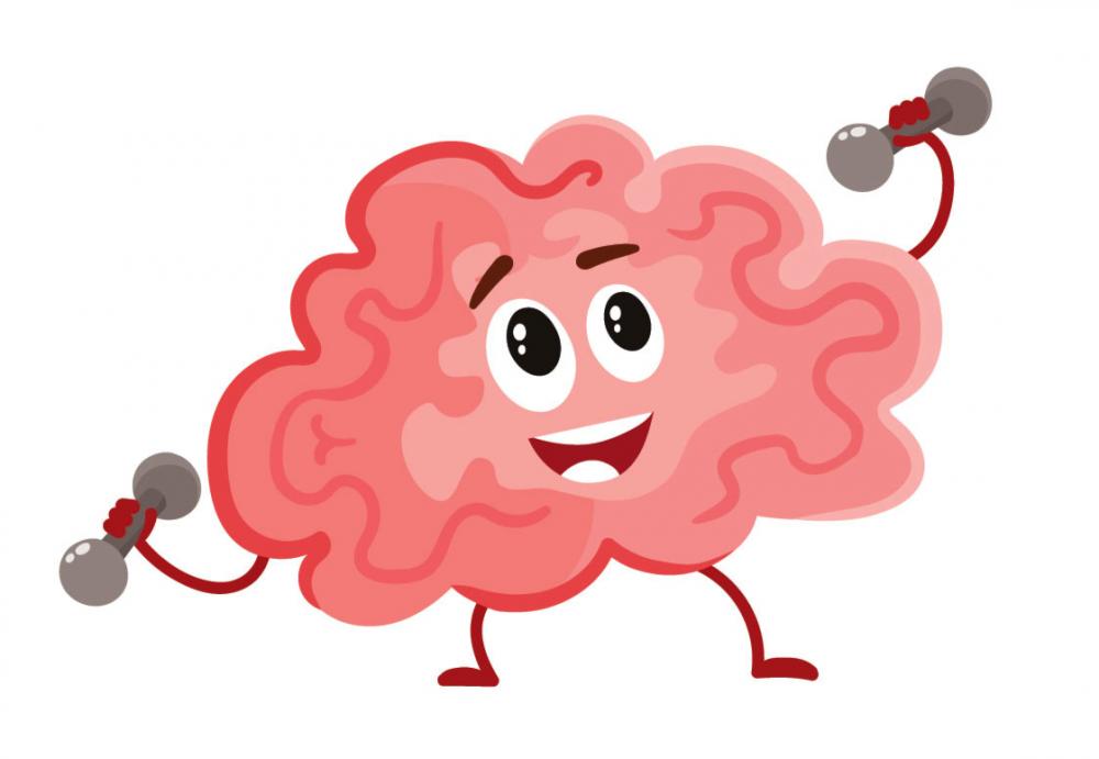 Du labo à l'école. Entrainement au contrôle inhibiteur – Cycle 1 cerveau, entrainement, contrôle inhibiteur, maternelle