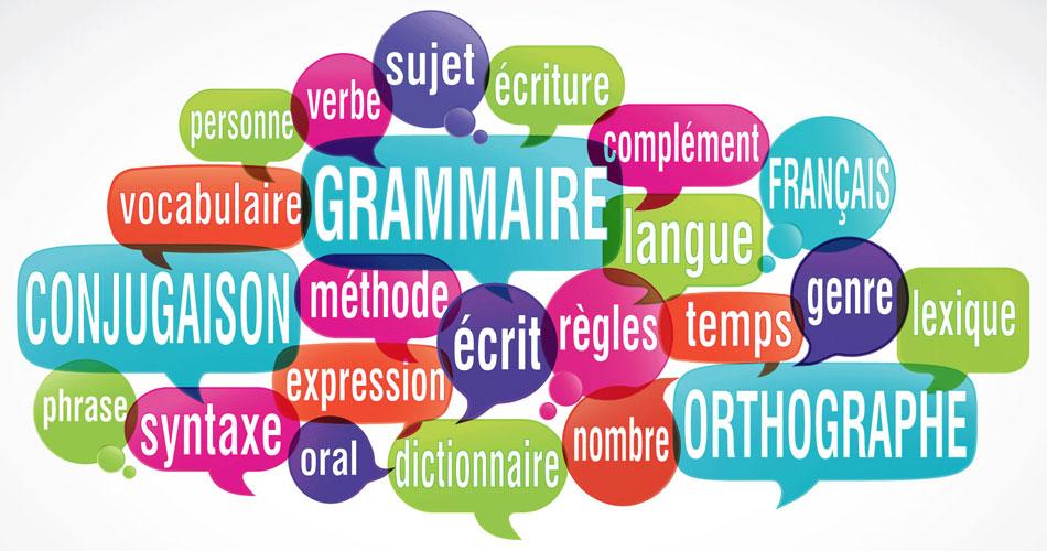 Projet en étude de la langue | Lea.fr