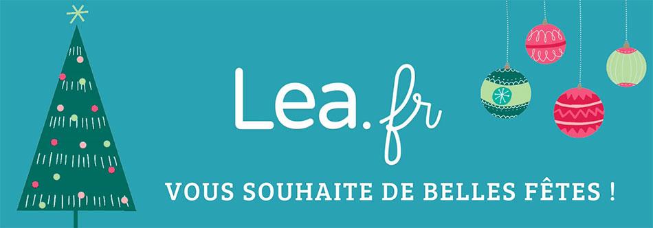 Joyeuses fêtes et bonnes vacances ! Joyeuses fêtes et bonnes vacances !