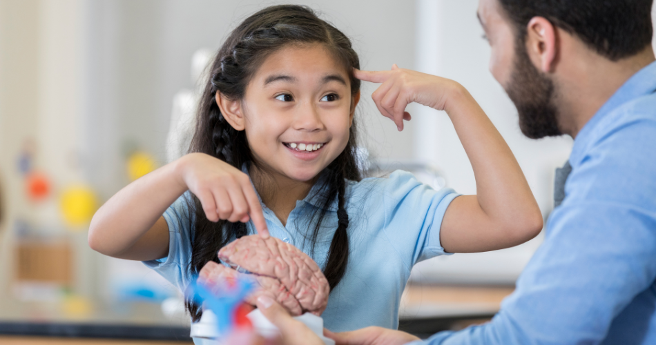 Découvrir le fonctionnement du cerveau pour mieux apprendre Découvrir le fonctionnement du cerveau pour mieux apprendre