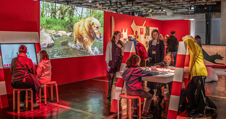 Chiens-chats et jeunes curieux : deux expériences à vivre à la Cité des sciences et de l’industrie 