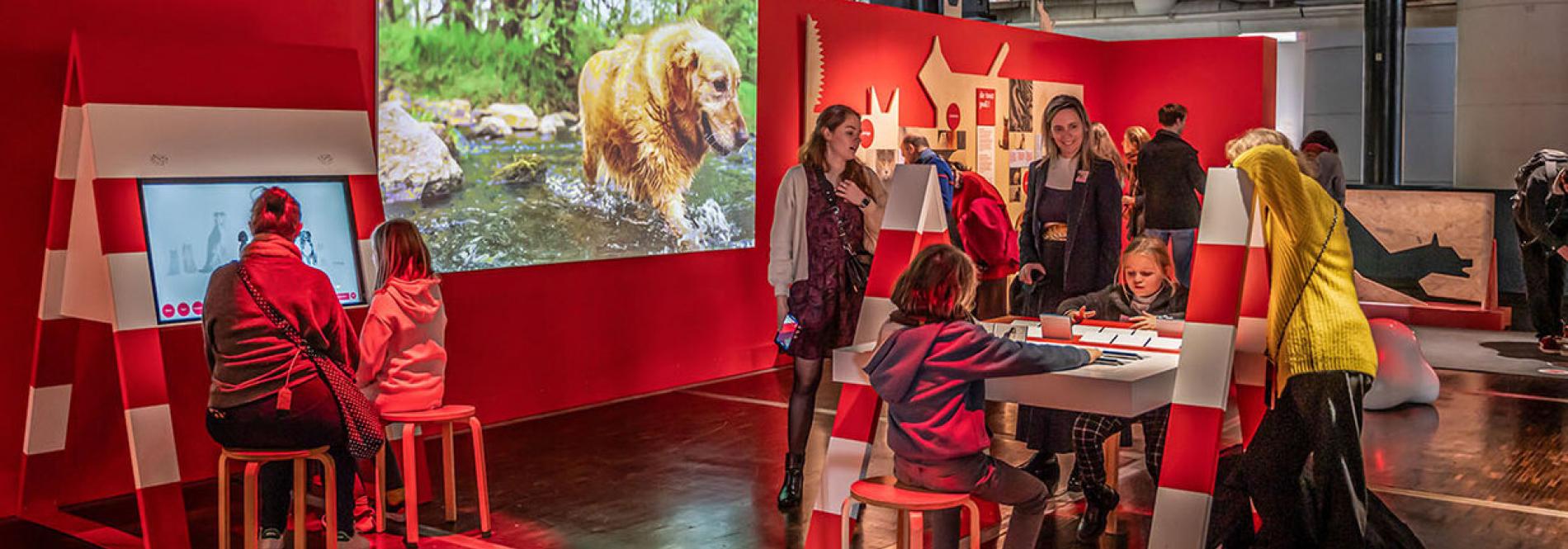 Chiens-chats et jeunes curieux : deux expériences à vivre à la Cité des sciences et de l’industrie 