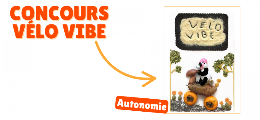 Concours Vélo Vibe : et les gagnants sont… !
