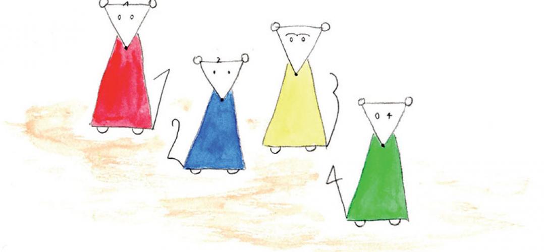 La Fabuleuse histoire des NuméRas | Construire les mathématiques CP/CE1 La Fabuleuse histoire des NuméRas | Construire les mathématiques CP/CE1