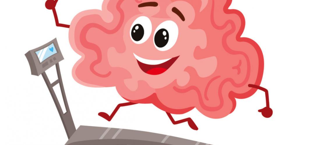 Du labo à l'école. Entrainement au contrôle inhibiteur – Cycles 2 et 3 contrôle inhibiteur, entrainement, cerveau, élémentaire