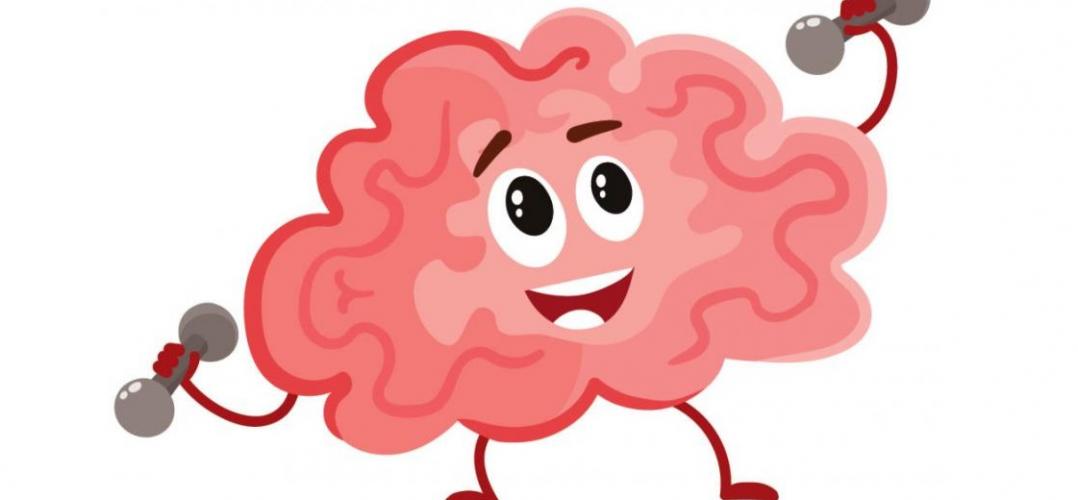 Du labo à l'école - Entrainement au contrôle inhibiteur cerveau, entrainement, contrôle inhibiteur
