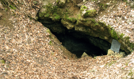 La découverte de la grotte de Lascaux : 75 ans déjà !