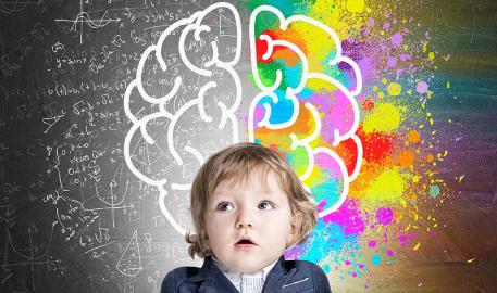 Les neurosciences valident et précisent les intuitions de Montessori et Freinet
