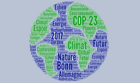 La COP 23