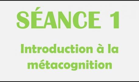 Séance 1 - Introduction à la métacognition