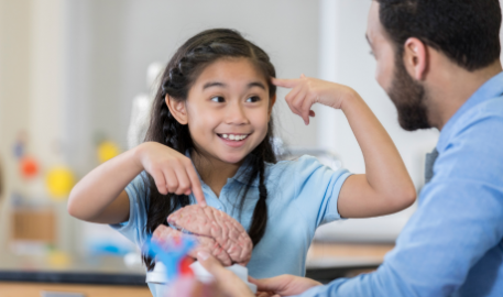 Découvrir le fonctionnement du cerveau pour mieux apprendre