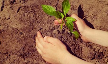 "Une fenêtre ouverte sur un monde peu connu"
